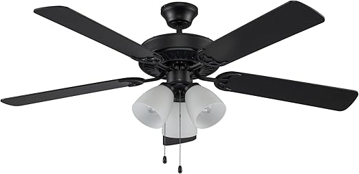 TRANS GLOBE F-2005 BK I Solana Collection 52 Inch Five Blade Ceiling Fan - Black Finish | with Three-Light Fixture I Modern Contemporary Fixture I