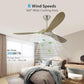 Ceiling Fan With Remote and Wall Control, 60 inch Wood Ceiling Fan with 3 Walnut Blades, 6 Speeds 3 Smart Timer Reversible DC Motor, Indoor/Outdoor Farmhouse Ceiling Fan for Bedroom Patios