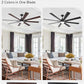 ZMISHIBO 72 inch Large Ceiling Fans with Lights and Remote, Indoor/Outdoor Black Modern Ceiling Fan for Kitchen Living Room Patio, 6 Speed Reversible Quiet DC Motor, 3 CCT, Dual Finish 8 Blades