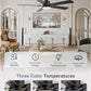 ZMISHIBO 52" Ceiling Fans with Lights Indoor Ceiling Fan