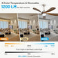 ARTPLAN 52" Ceiling Fan with Light - Remote Control, 6-Speed Quiet DC Motor, 3-Color Dimmable LED, Adjustable Height for Bedroom, Living Room & Large Spaces,Sakuragi